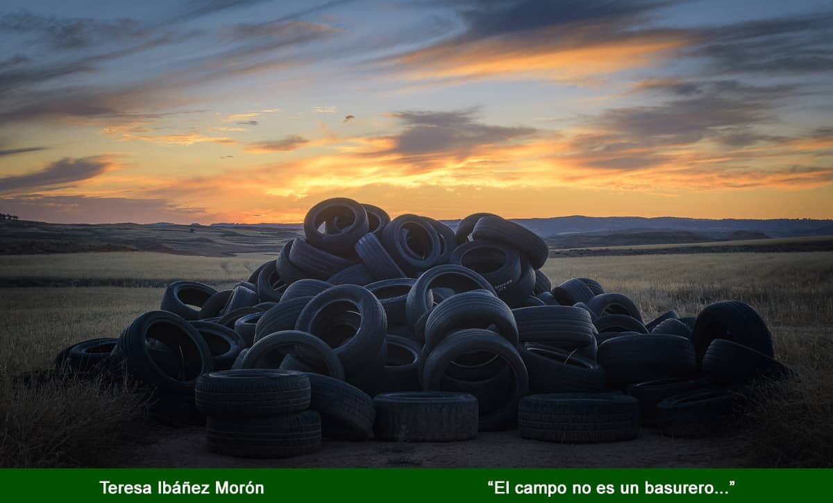 comarca19