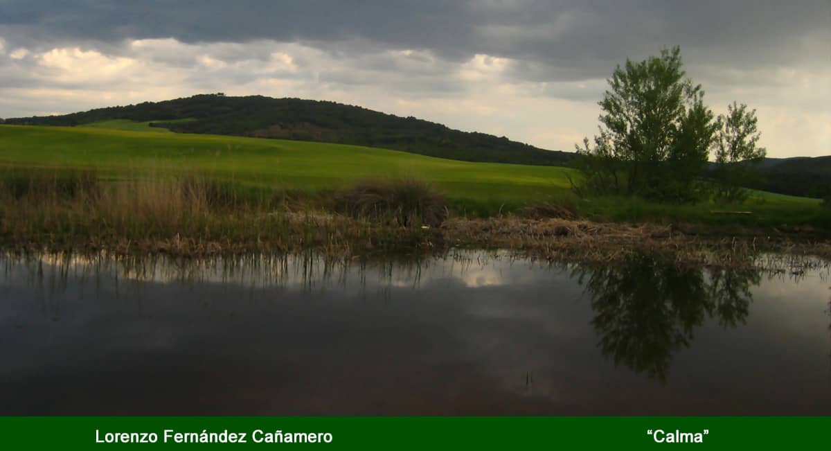comarca36