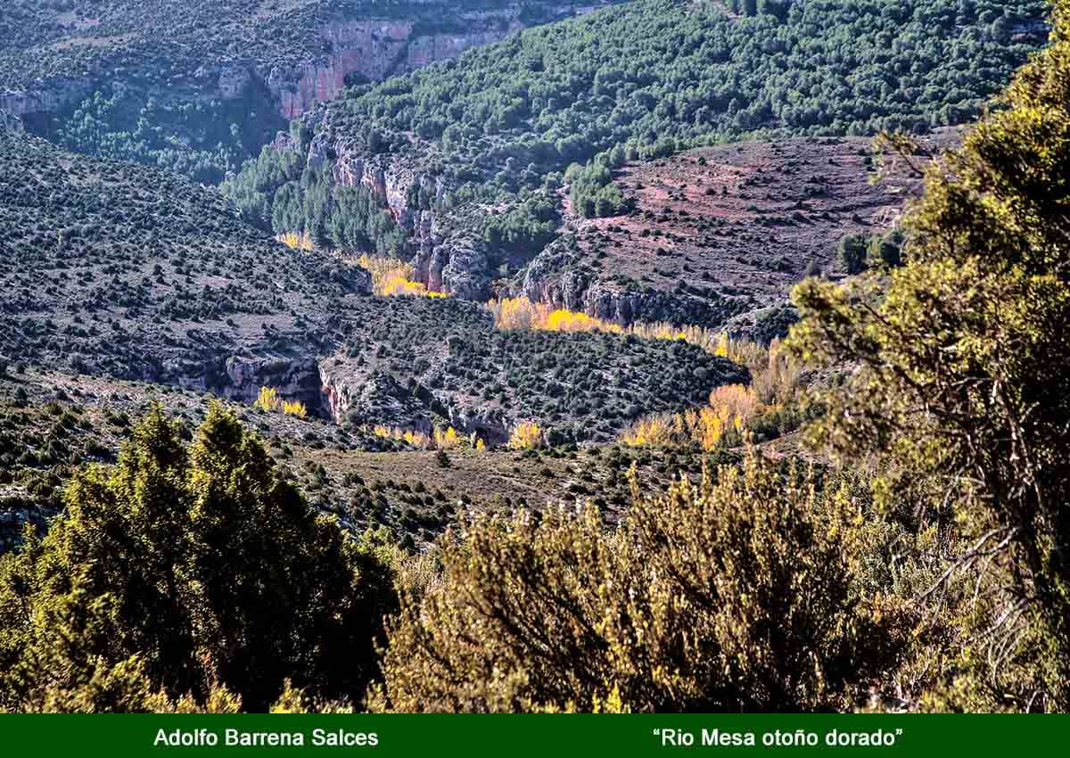 comarca64
