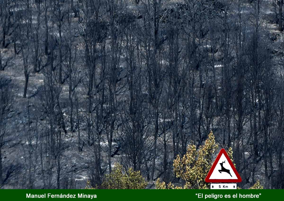 incendio19
