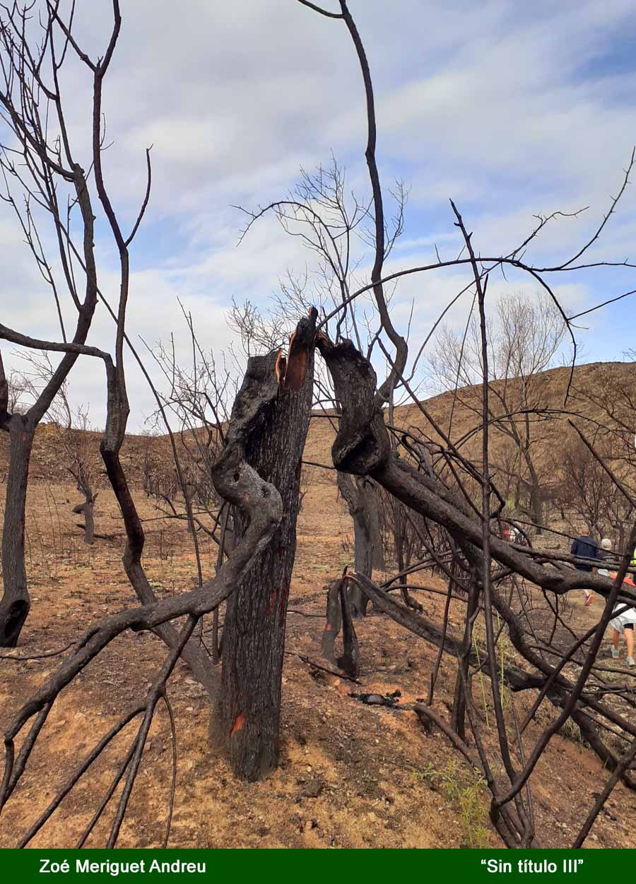 incendio28