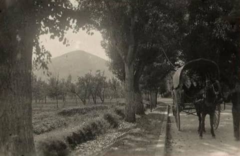 carretera_vergel