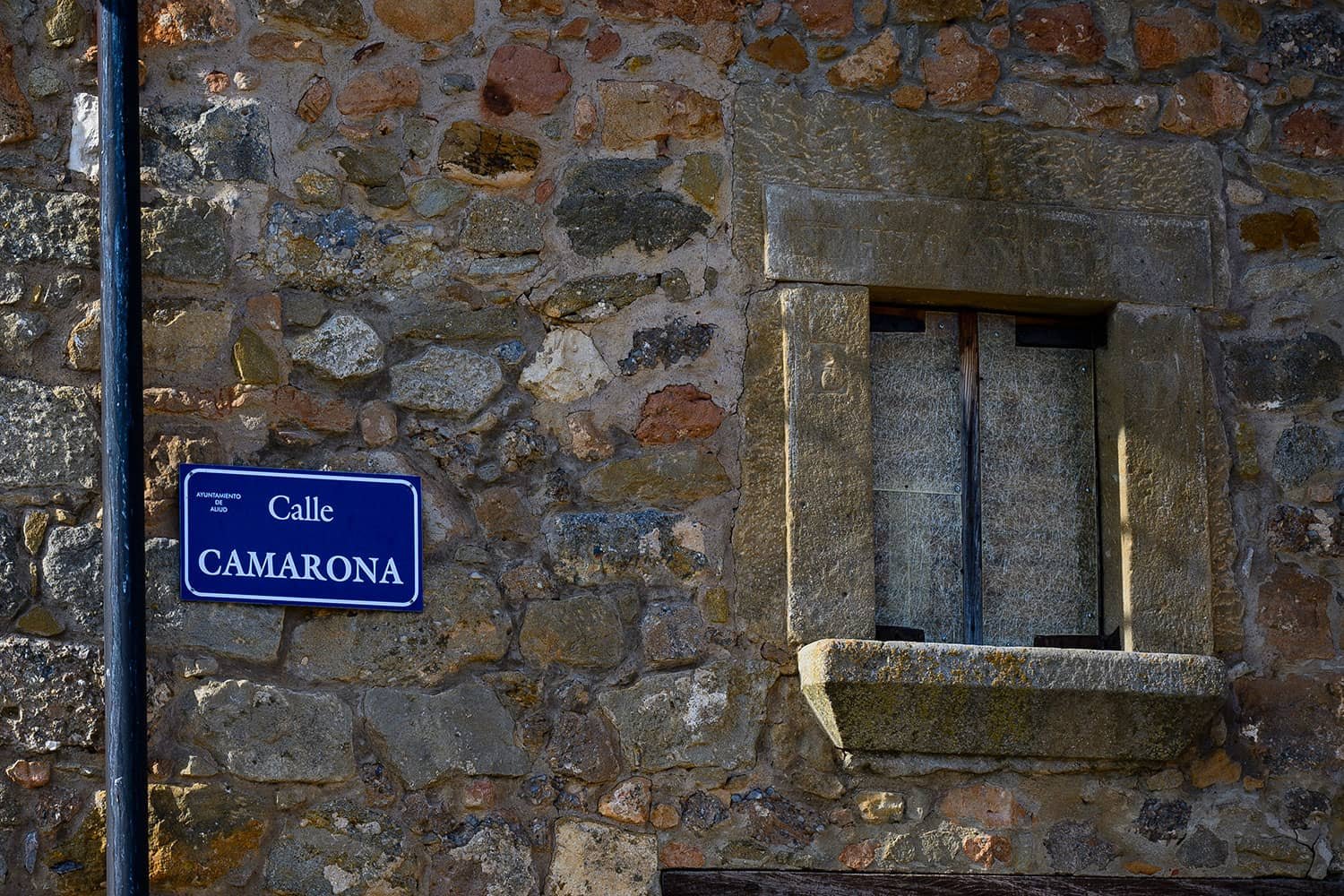 camarona-aliud-2