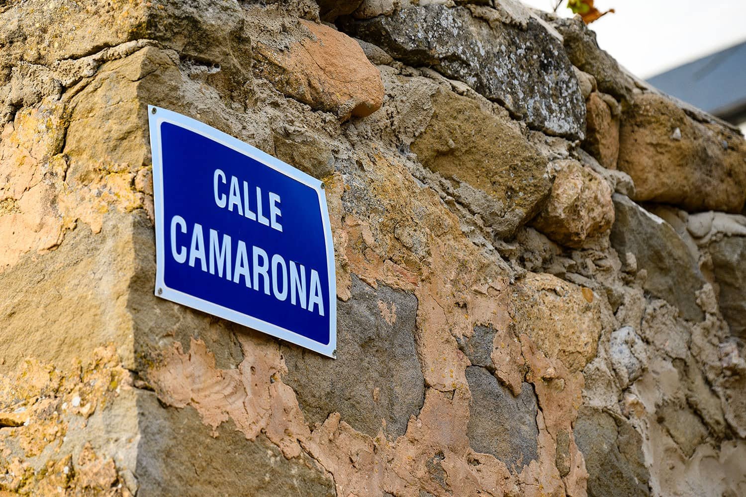 camarona-minana-2