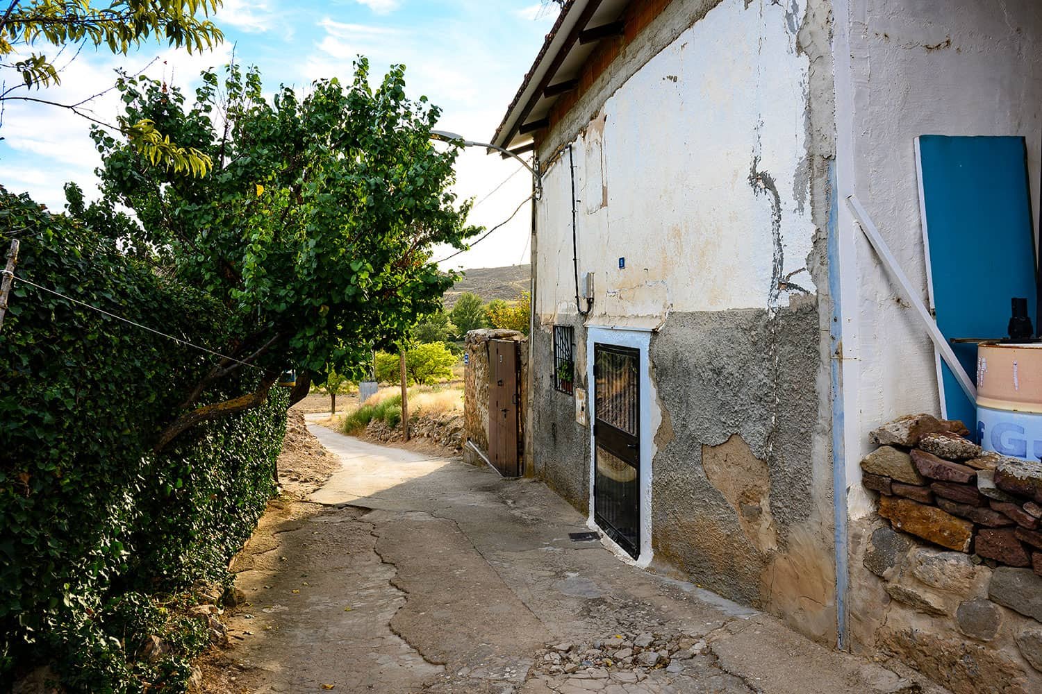camarona-minana-4